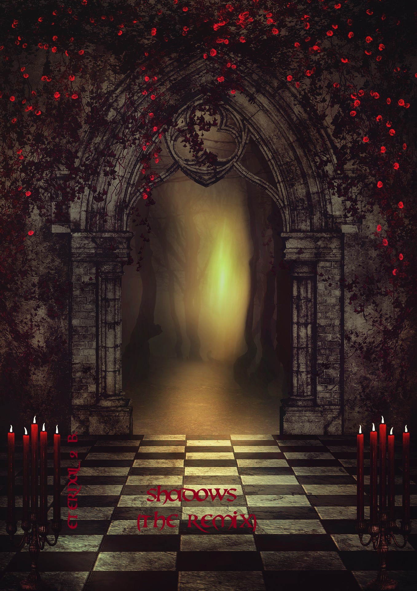 Shadows ( The Remix )