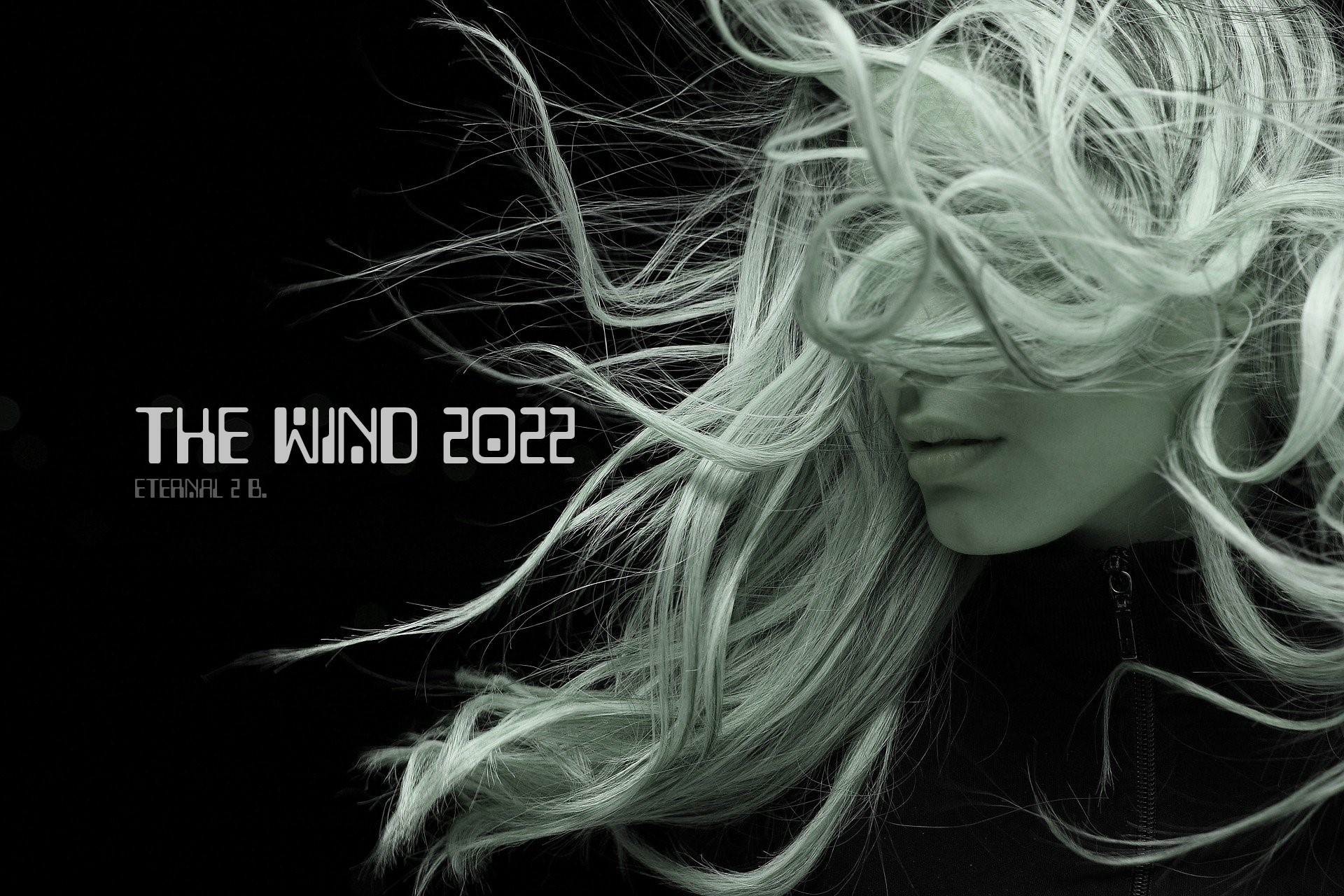 The Wind 2022