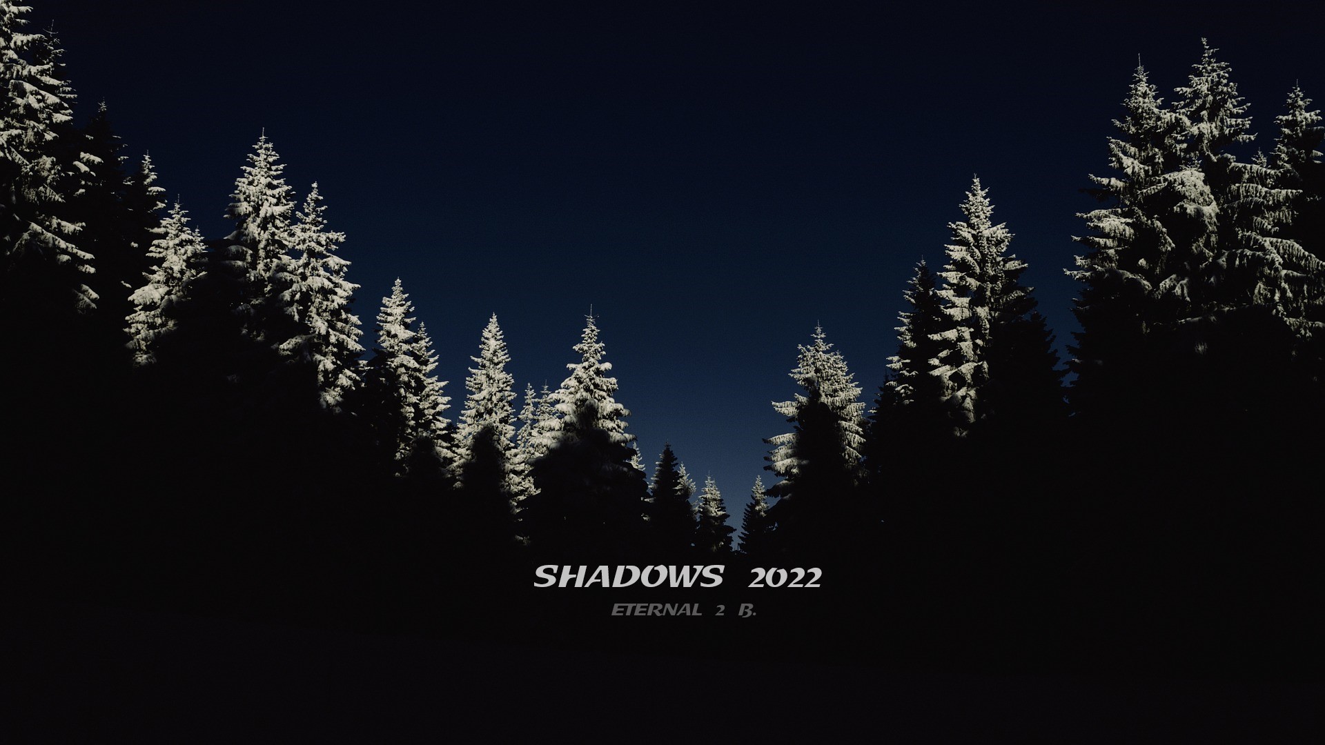 Shadows 2022